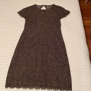 Banana Republic Factory Olive Lace Cocktail Dress